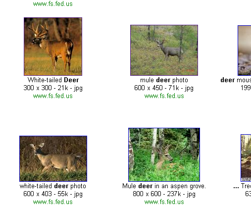 Search for deer images on a federal government site